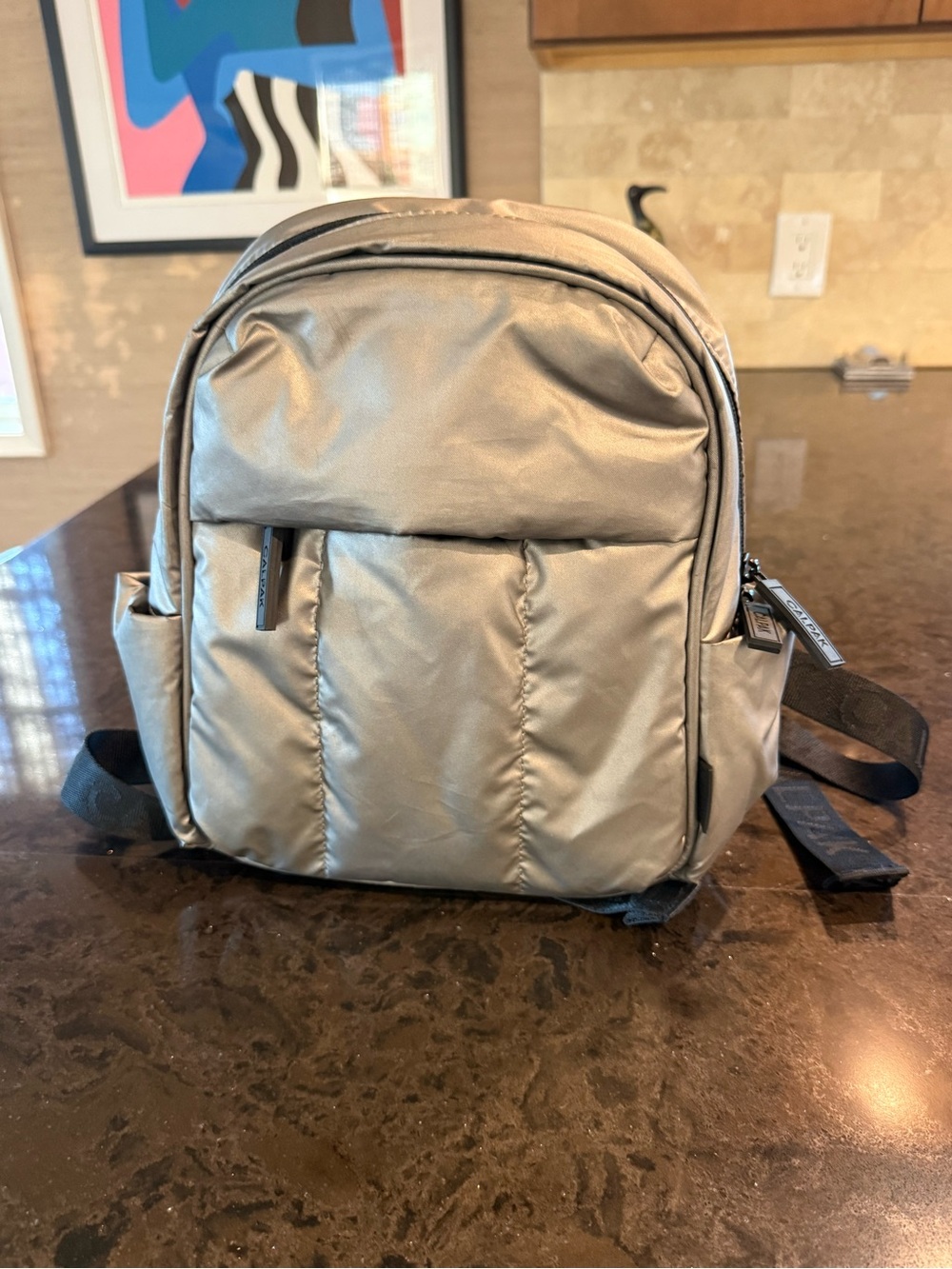 CALPAK Luka Mini Backpack